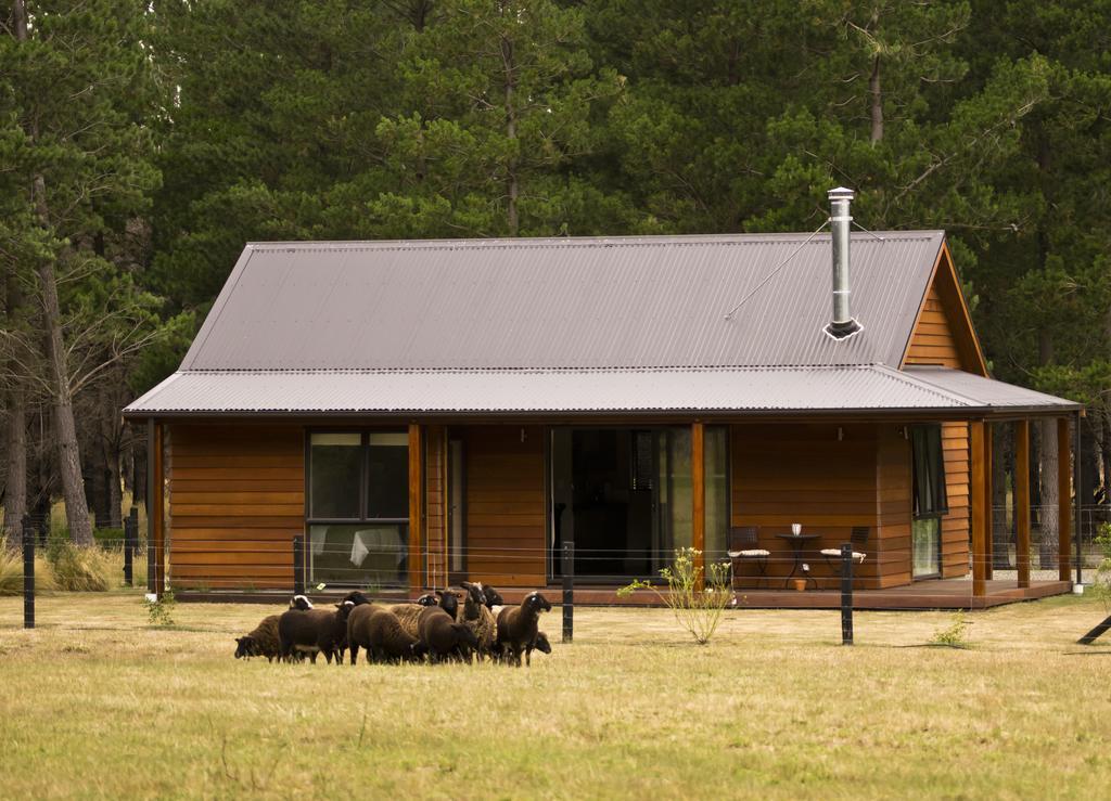 Woodbank Park Cottages Hanmer Springs Kamer foto
