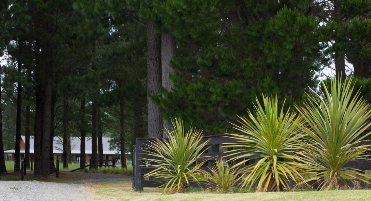 Woodbank Park Cottages Hanmer Springs Buitenkant foto