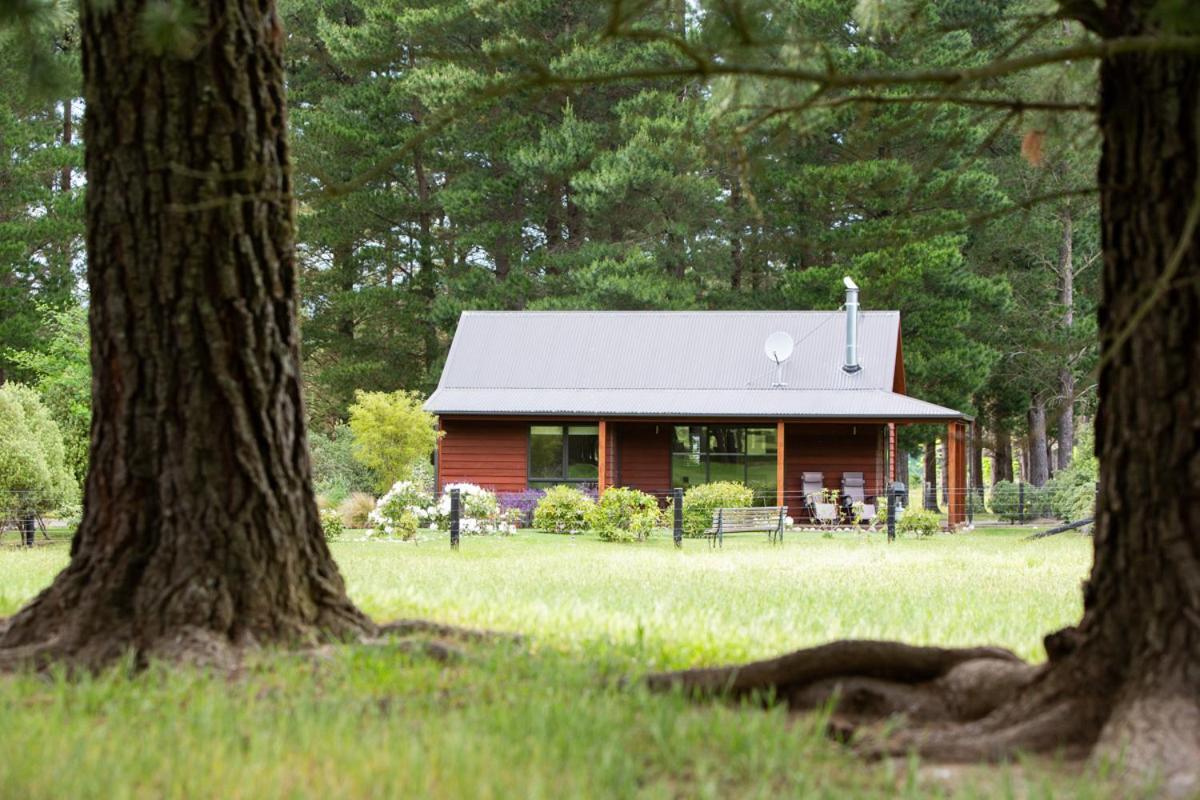 Woodbank Park Cottages Hanmer Springs Buitenkant foto